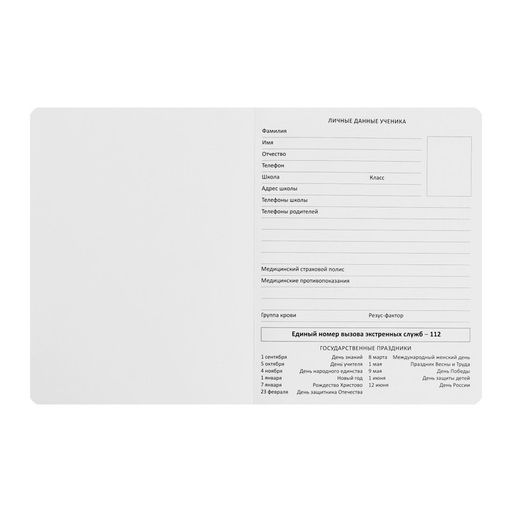 Дневник школьный для 1-11 классов «Что я тут делаю?», интегральная обложка, искусственная кожа, шелкография, ляссе, 80 г/м²