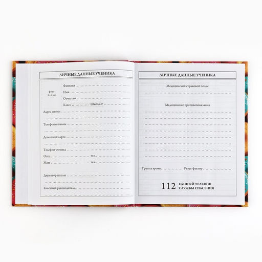 Дневник школьный 5-11 класс, в твердой обложке, 48 л. «Пончики»