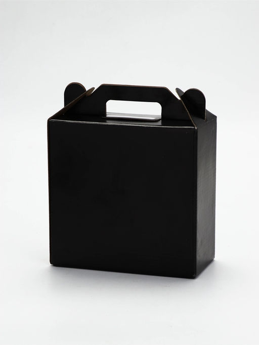 Подарочный набор пивных бокалов «Мегамужик», 2 шт.