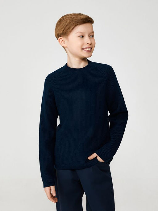 ACOOLA / Джемпер детский для мальчиков Ricardo темно-синий