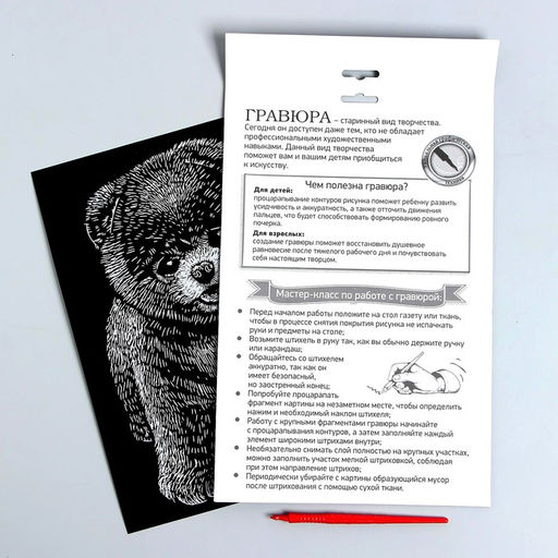 Гравюра на подложке Шпиц с металлическим эффектом серебро А4 - Школа талантов фото 3