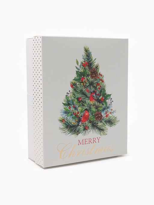 Полотенца махровые «Этель» Merry christmas, 30×30 см - 5 шт., 100% хлопок, 340 г/м²