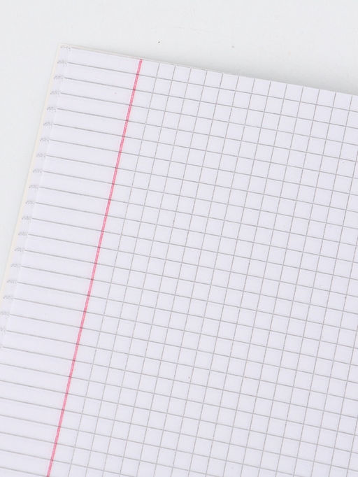 Цена за 20 шт. Тетрадь А5, 48 листов в клетку "Звери"