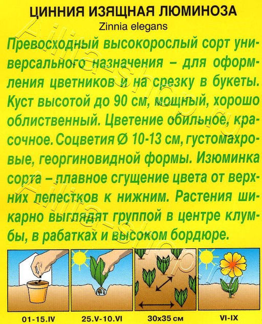 Цинния Люминоза георгиновидная 0,3г (Аэлита)