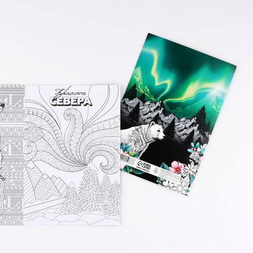 Цена за 10 шт. Блокнот раскраска А5 «Север»