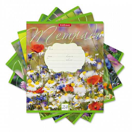 Цена за 160 шт. Тетрадь школьная ученическая ErichKrause Цветущие луга, 24 листа, линейка (в плёнке по 10 шт.)