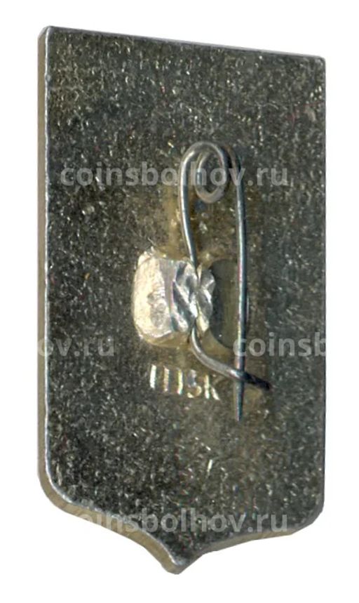 Значок Пенза