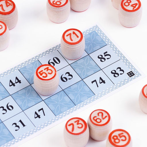 Русское лото «Для всей семьи», 24 карточки, карточка 21×8 см, 25×19×6 см