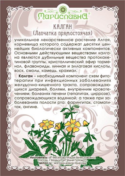 Калган (лапчатка прямостоячая), (корень)