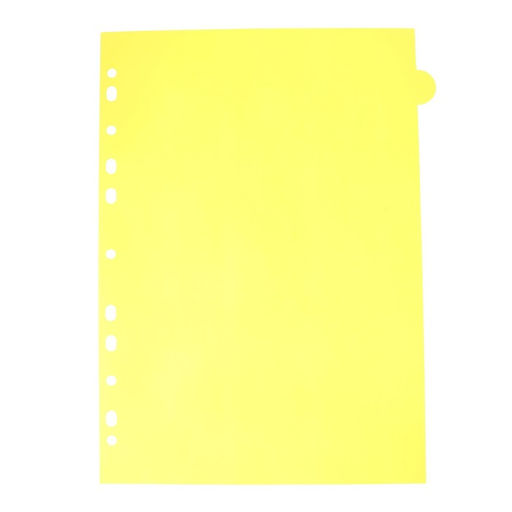 Цена за 2 шт. Разделитель листов A4 (245×305 мм), цветовой, 12 листов, «deVENTE. Pastel», полипропилен 140 мкм, индивидуальная упаковка