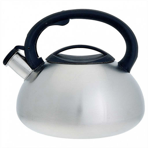 Чайник нерж. 3,0 л Webber арт ВЕ-0587