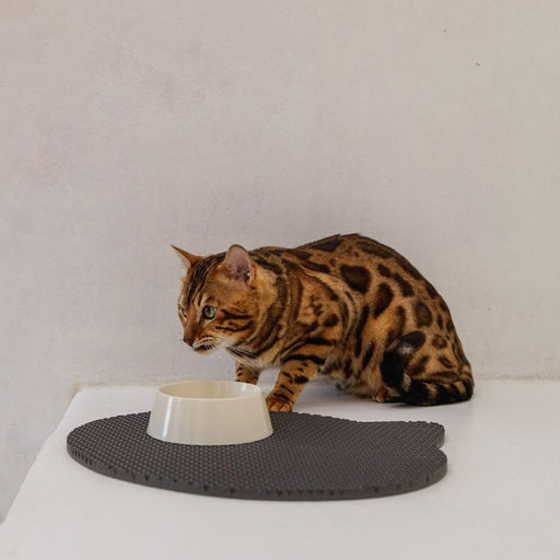 Коврик под миску и лоток Мордочка, серый, 35х41,5 см - Пушистое счастье фото 4