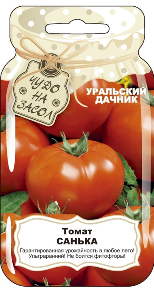 Томат САНЬКА  Ультраранний! Мясистый! Любимец семьи! Не требует особого ухода! Гарантированная урожайность в любое лето! - Уральский дачник фото 5