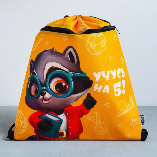 Сумка для обуви Учусь на 5!, 2 секции, 41х31 см - Artfox study фото 3