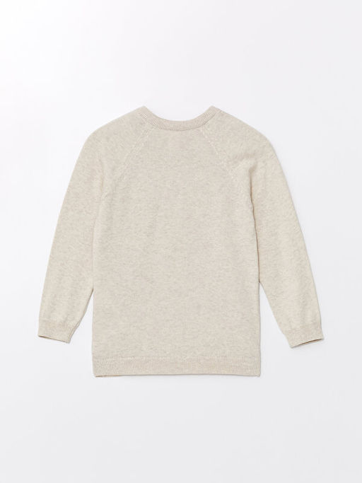 Bisiklet Yaka Uzun Kollu Erkek Bebek Triko Kazak - Waikiki фото 2