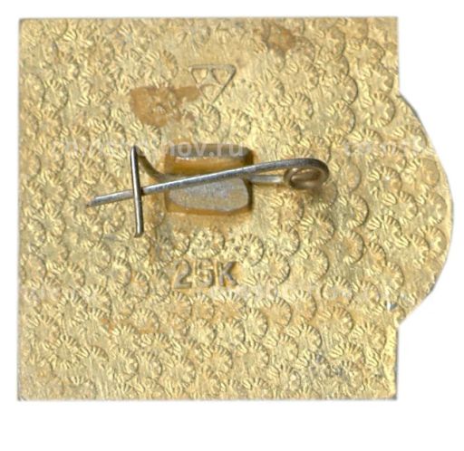 Значок Суздаль