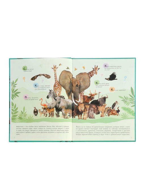 Энциклопедия «Животные»