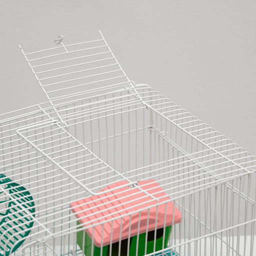 Клетка для грызунов Пижон №3, с 2-я этажами, укомплектованная, 33 х 24 х 28 см, бирюзовая  фото 5