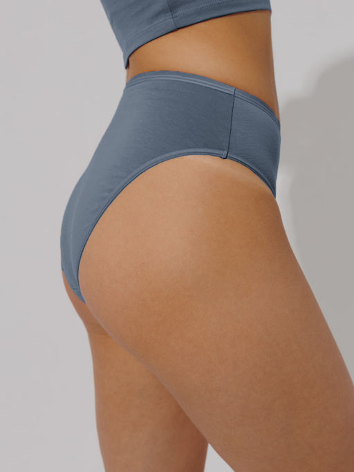 Трусы женские слипы с высокой посадкой Lingeamo серые ЛС-14 (84)  фото 2