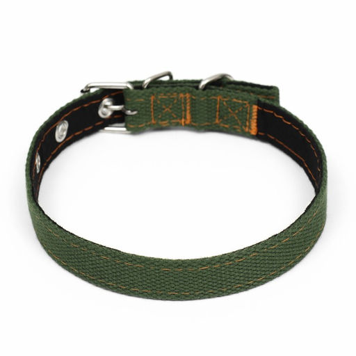 Ошейник брезентовый с подкладом, 52 х 2 см, хаки - Пижон фото 2