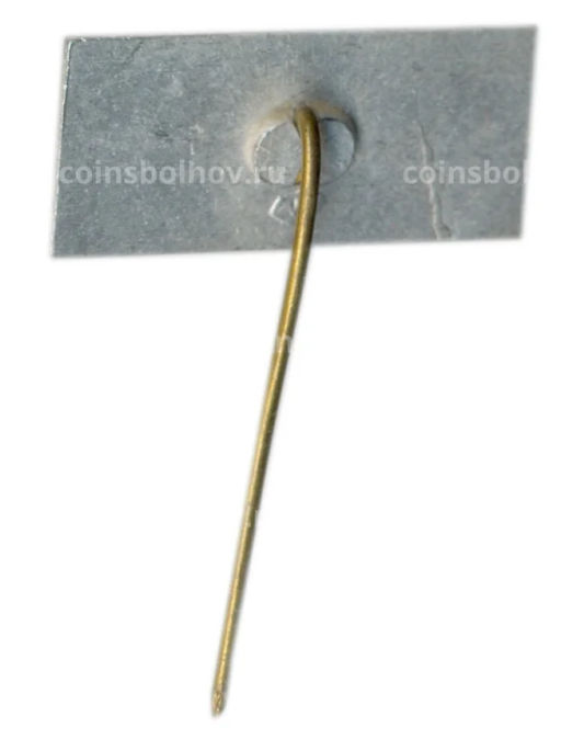 Значок Вильнюс