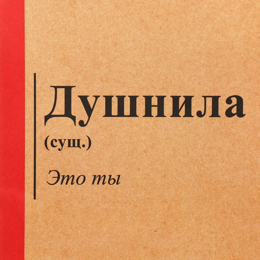 Пакет подарочный крафтовый Душнила, 12 21 9 см - Дарите счастье фото 4