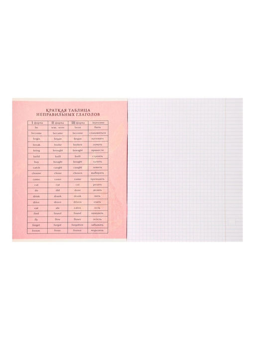 Тетрадь предметная Доска, 48 листов в клетку Английский язык,со справочным материалом, обложка мелованный картон, блок офсет - Calligrata фото 9