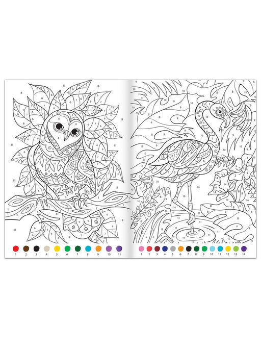 Раскраски по номерам Для девочек, набор 4 шт., по 16 стр.