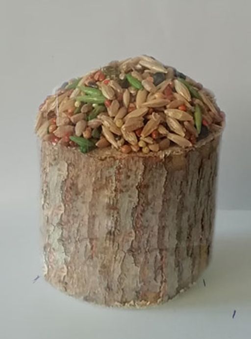 БОСПА ЭКО Пенёк с овощами д/грызунов  фото 2