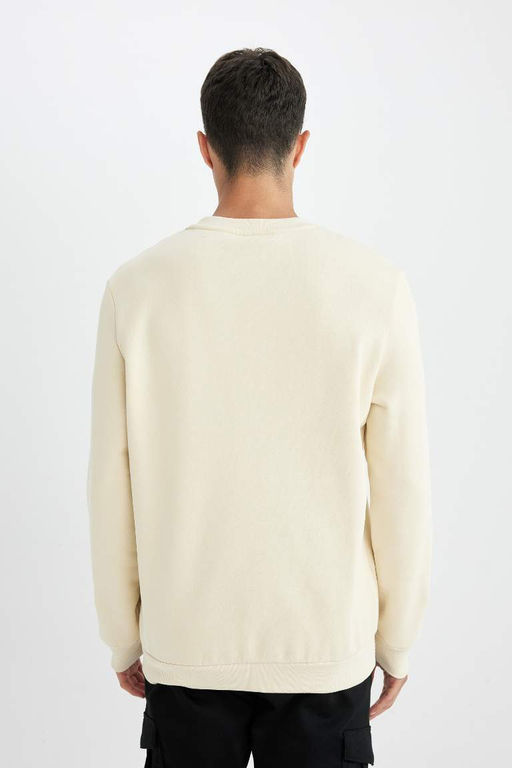 Толстый свитшот обычного кроя с круглым вырезом - Defacto фото 6