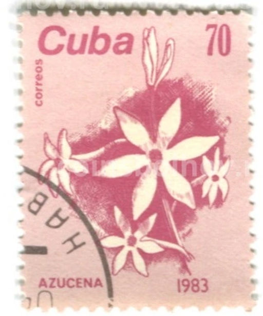 Марка Лилия Мадонны(Азуцена) 1983 год Куба