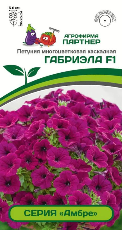 Петуния Амбре Габриэла каскадная фиолетовая
