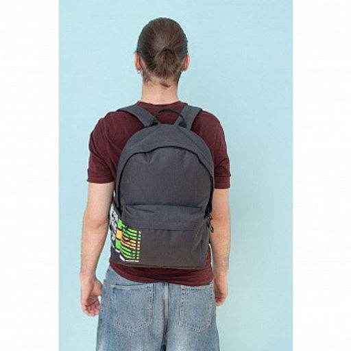 RQL-317-6 Рюкзак - Grizzly фото 6