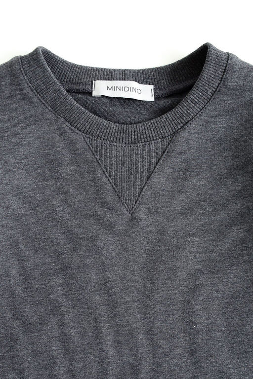 Свитшот Энди MINIDINO