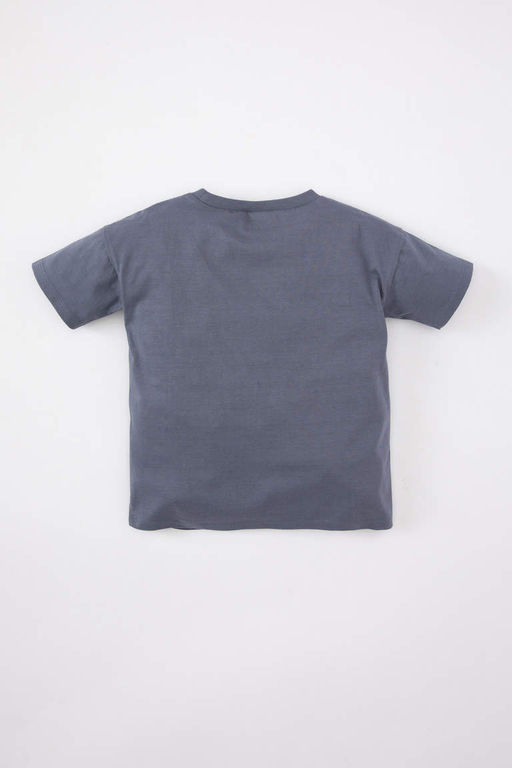 Футболка с короткими рукавами и круглым вырезом для маленьких мальчиков - Defacto фото 3