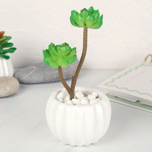 Суккулент искусственный 18 см / GN119 /уп 200/ - Галеонтрейд фото 2