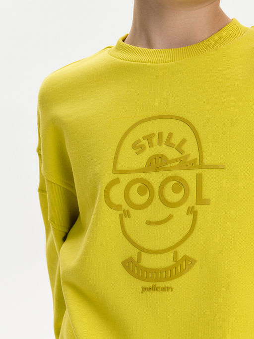 BFN3387U Толстовка для мальчиков