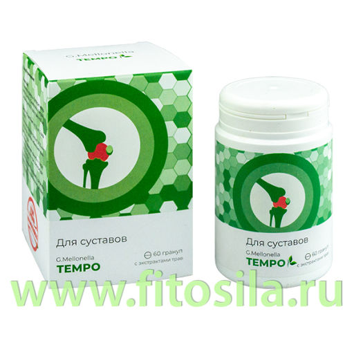 Галлерия меллонелла - МАКСИ (G.mellonella - MAXI) комплекс для глаз 60 гранул по 0,75 ЖИВА  фото 5