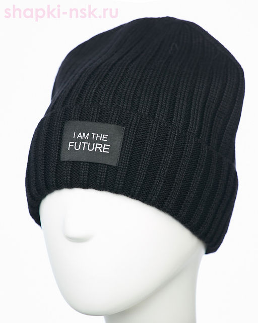 117/FL SHM Колпак мужской флис (58-60)