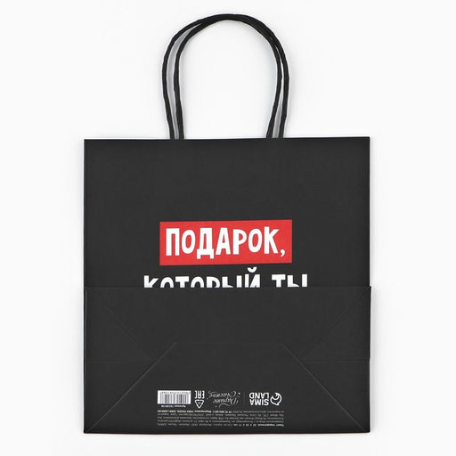 Цена за 2 шт. Пакет подарочный новогодний «Подарок, который ты заслужил», 22×22×11 см