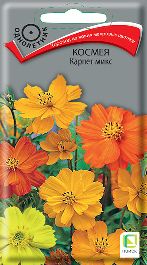 Космея Карпет микс (ЦВ) (1) 0,2гр. - Поиск фото 2