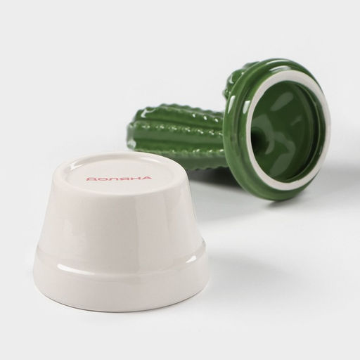 Банка для хранения сыпучих продуктов Доляна «Кактус», 170 мл, 8×8×15 см, керамическая