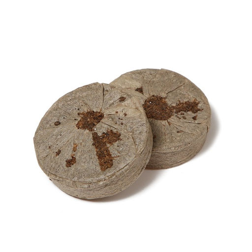 Мини - парник для рассады: торфяная таблетка d=4.2 см (18 шт.), парник 36×25 см, зелёный