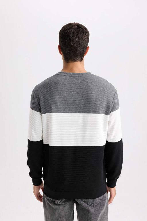 Жаккардовый свитшот стандартного кроя с круглым вырезом - Defacto фото 6