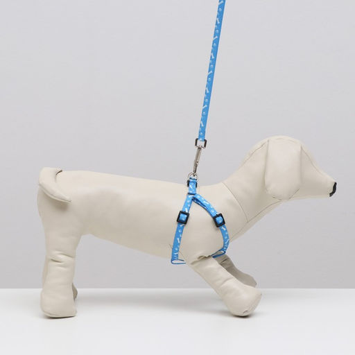 Комплект Классика, капрон, поводок 120 х 1 см, ОГ 21-35 см, голубой - Пижон фото 7