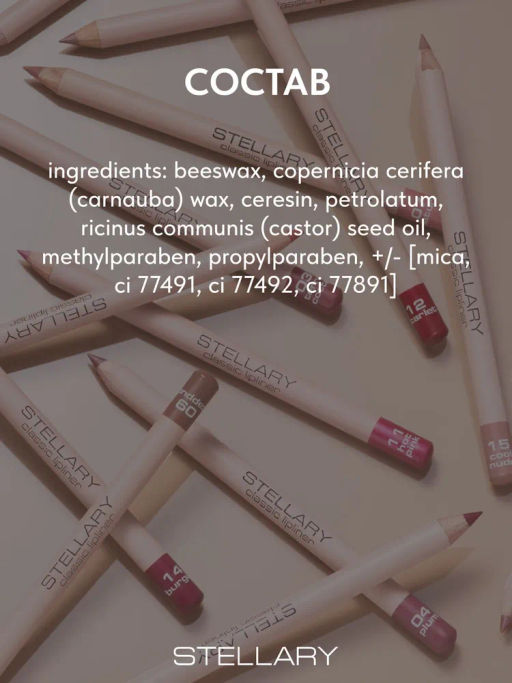 Stellary Карандаш для губ тон 04 plum  фото 8