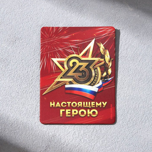 Цена за 2 шт. Магнит и брелок на 23 Февраля «Настоящий защитник»