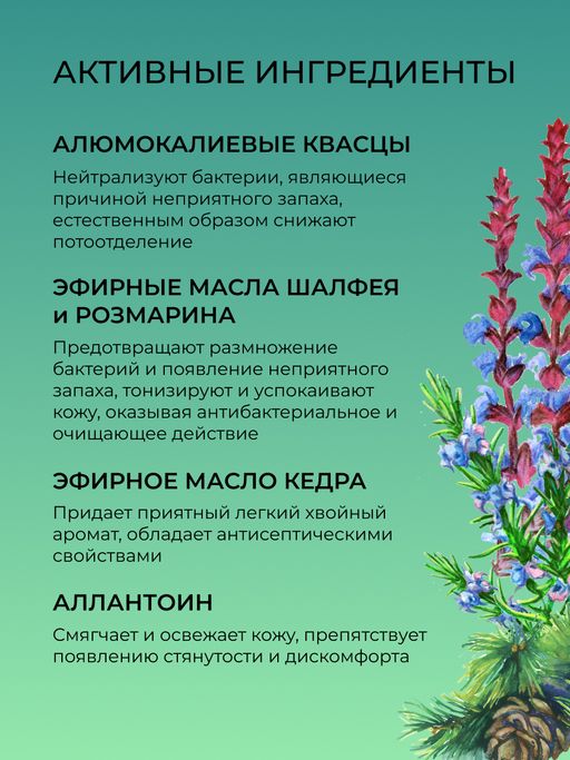Дезодорант Шалфей и розмарин - Siberina фото 5