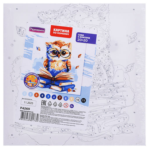 Картина по номерам "Сова с книгами" 20х20см
