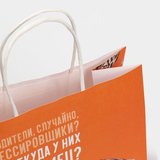 Цена за 2 шт. Пакет подарочный, упаковка, Самец, 22?22?11 см